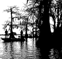 boat in swamp